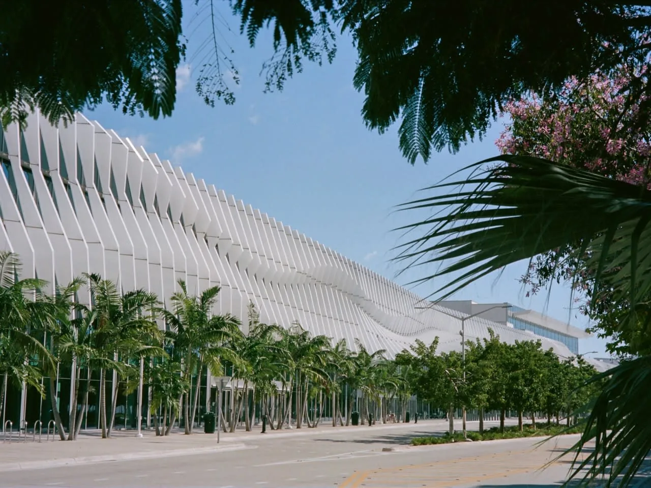 The white façade of the Miami Beach Convention Center behind palm trees