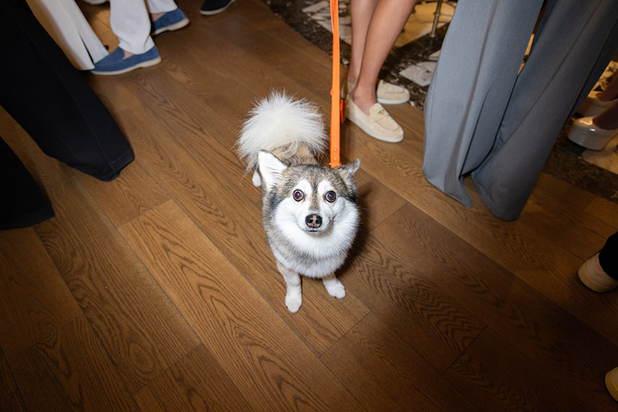 Villa Miami Pop-Up Hermes 107