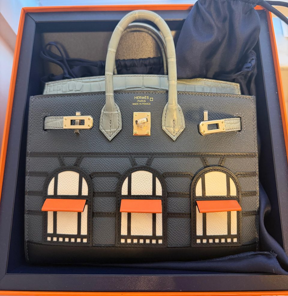 Birkin 20 Faubourg Rainy Days