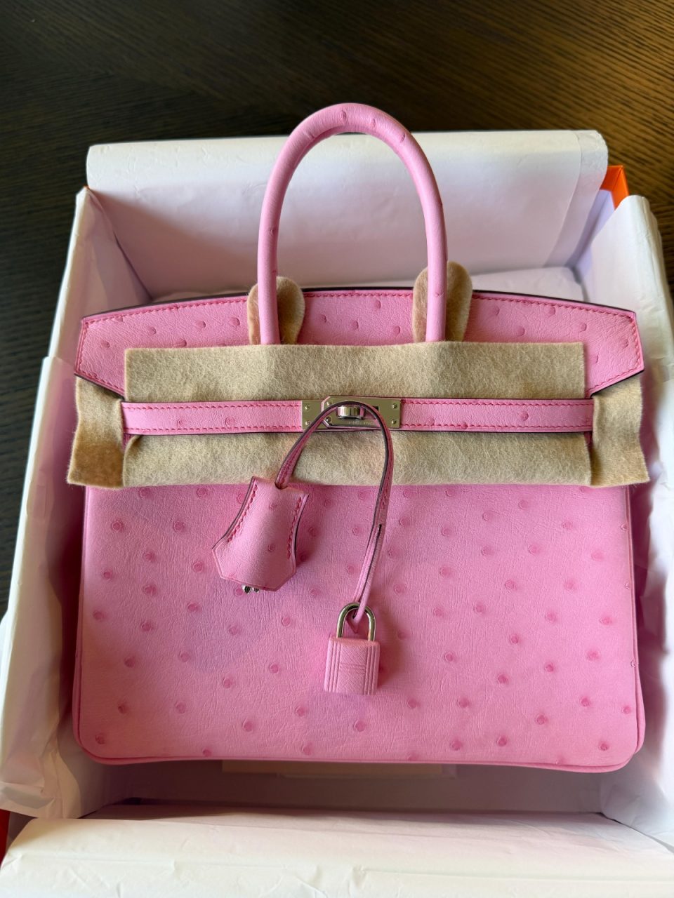 Birkin 25 Bubblegum Ostrich Palladium