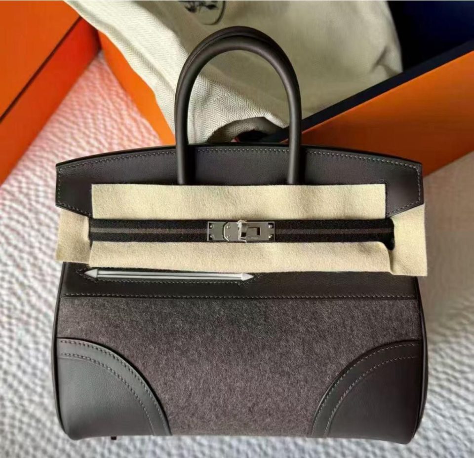 Birkin 25 Go Team Ebene Palladium