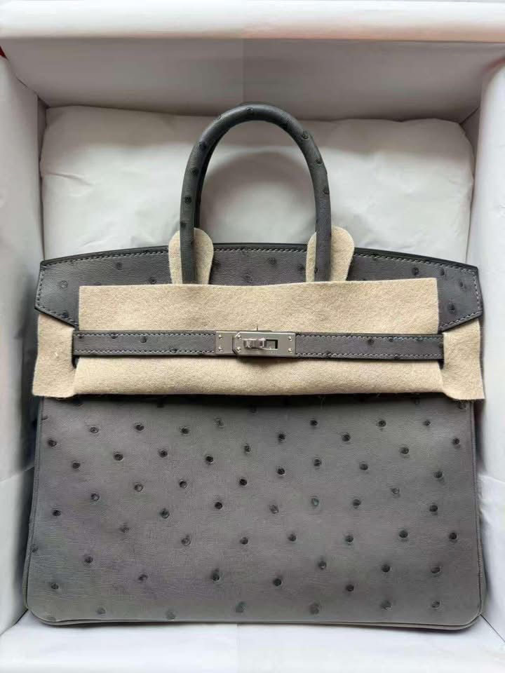 Birkin 25 Gris Meyer Ostrich Palladium