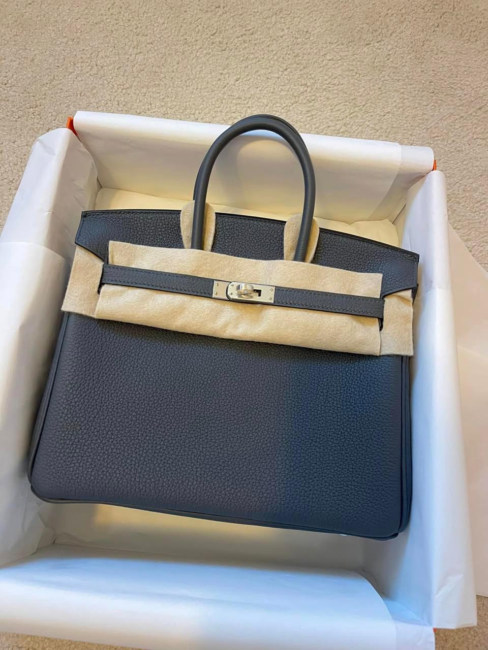 Birkin 25 Gris Misty Togo Palladium
