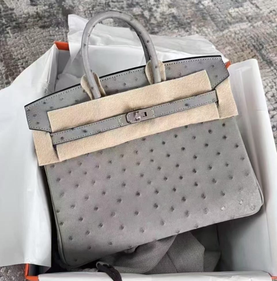 Birkin 25 Gris Mouette Ostrich Palladium