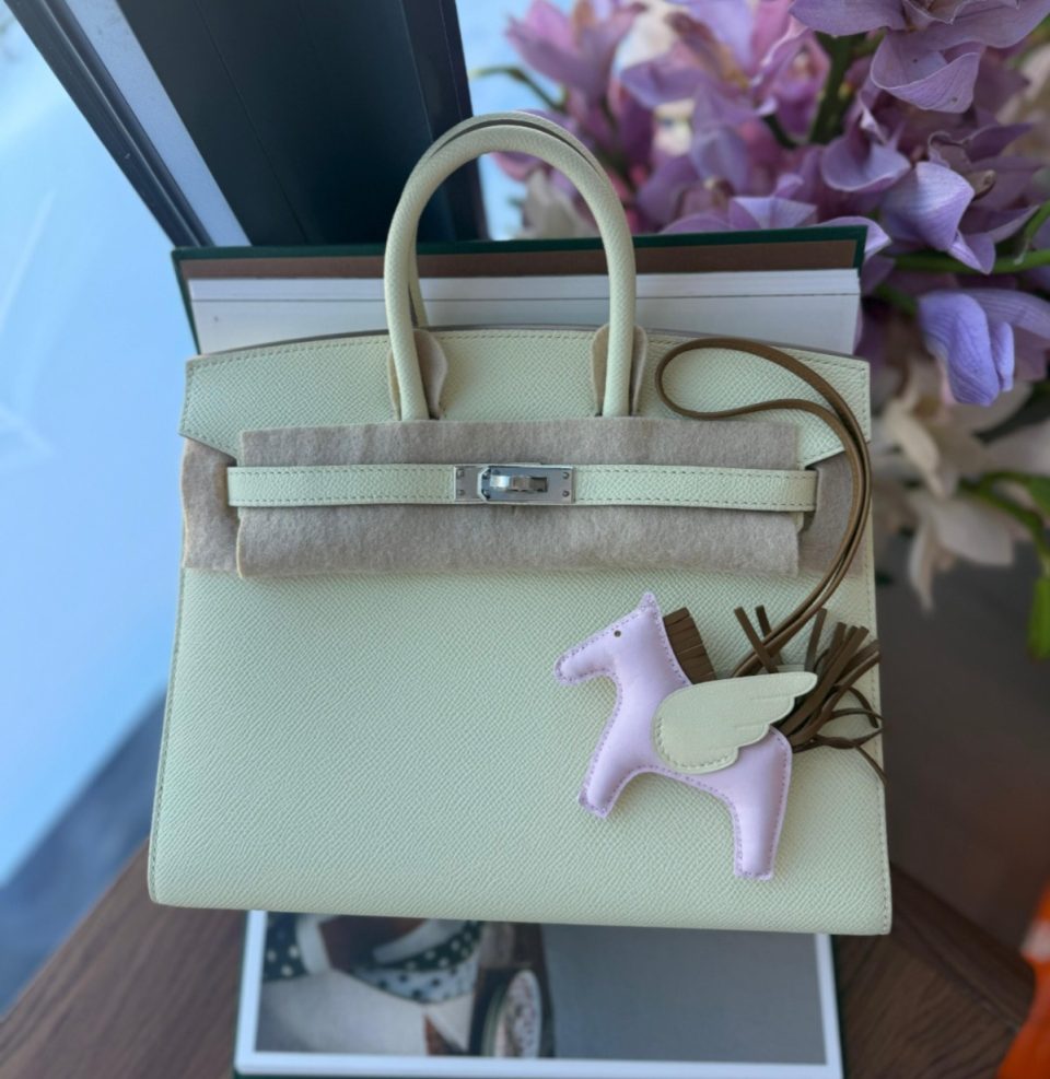 Birkin 25 Jaune Milton Epsom Palladium