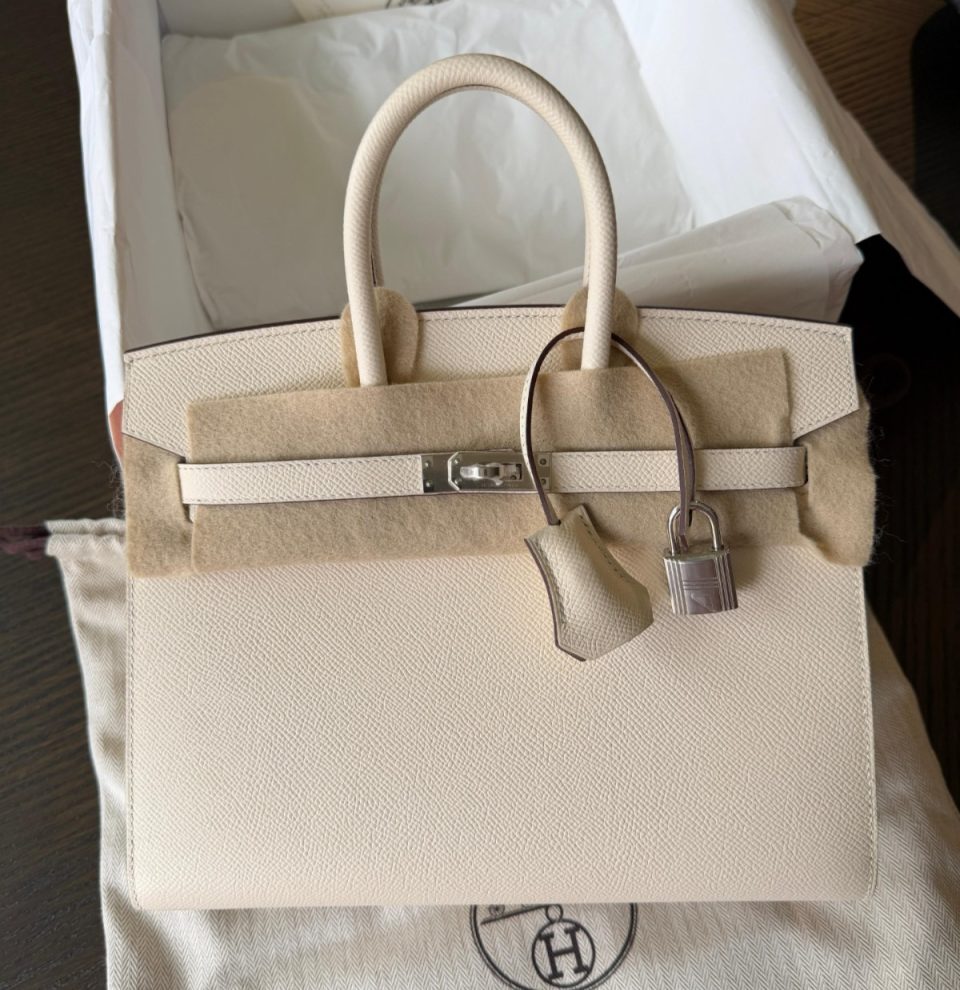 Birkin 25 Nata Epsom Palladium