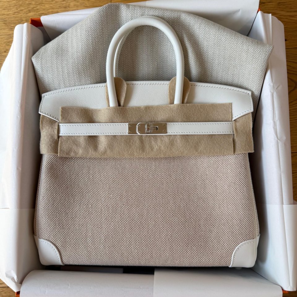 Birkin 25 Toile New White Palladium