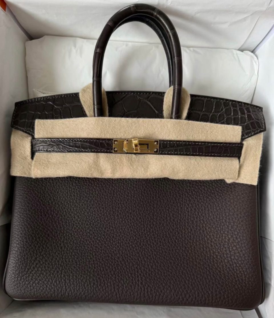 Birkin 25 Touch Ebene Togo Gold