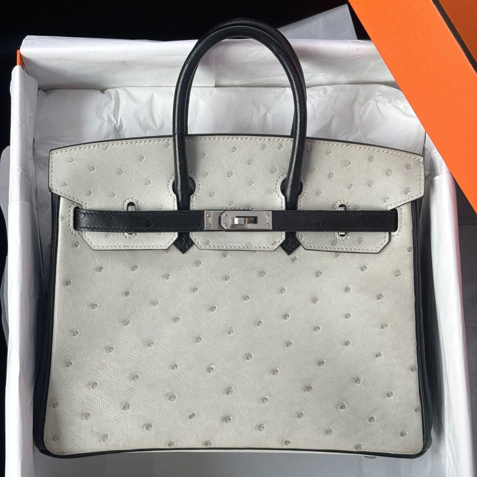 Birkin 25 Black Gris Perle Ostrich Palladium
