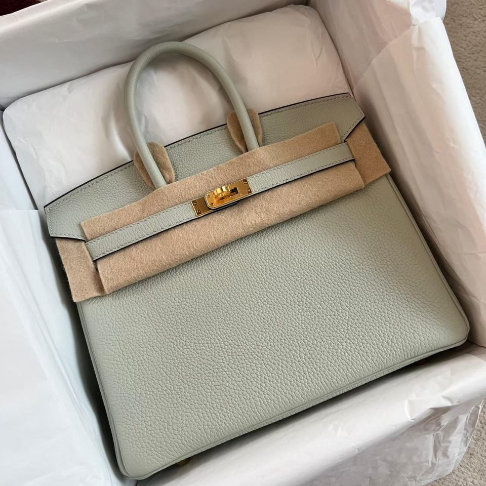 Birkin 25 Gris Neve Togo Gold