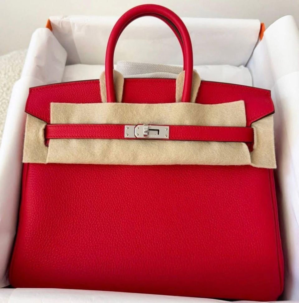 Birkin 25 Rouge de Coeur Togo Palladium