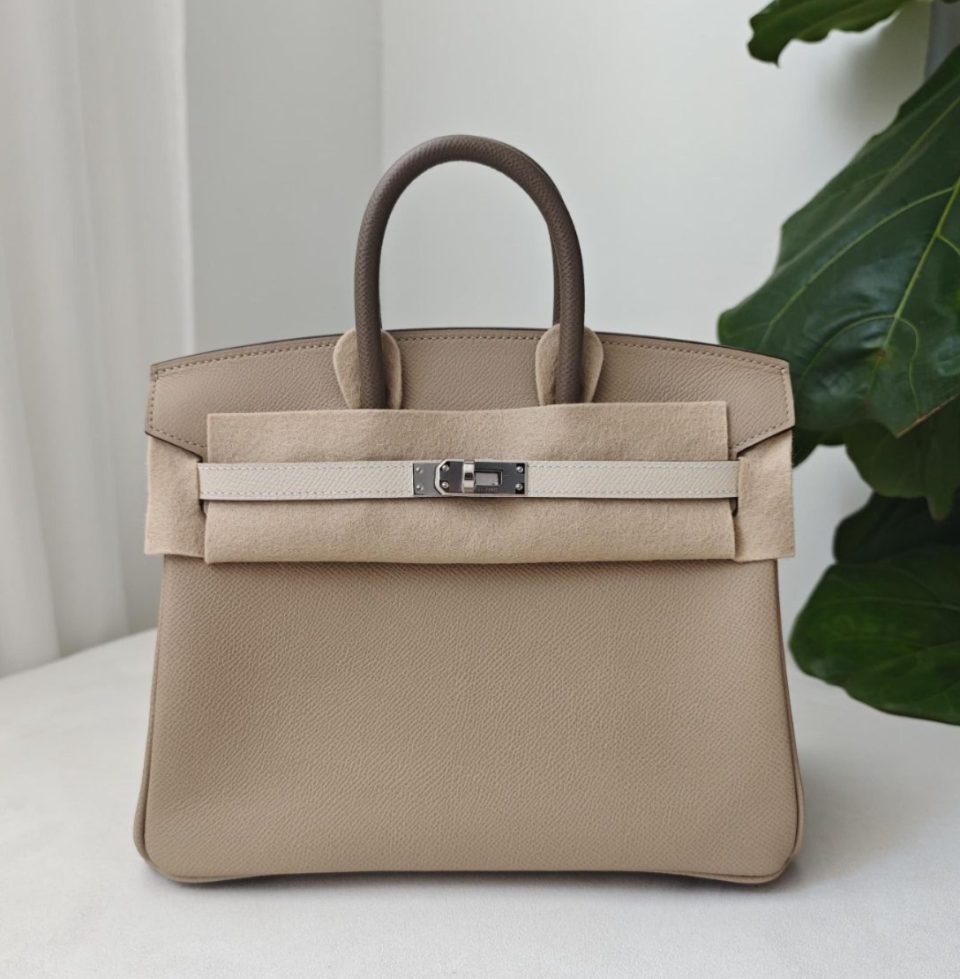 Birkin 25 Tricolor Trench Etoupe Craie Palladium