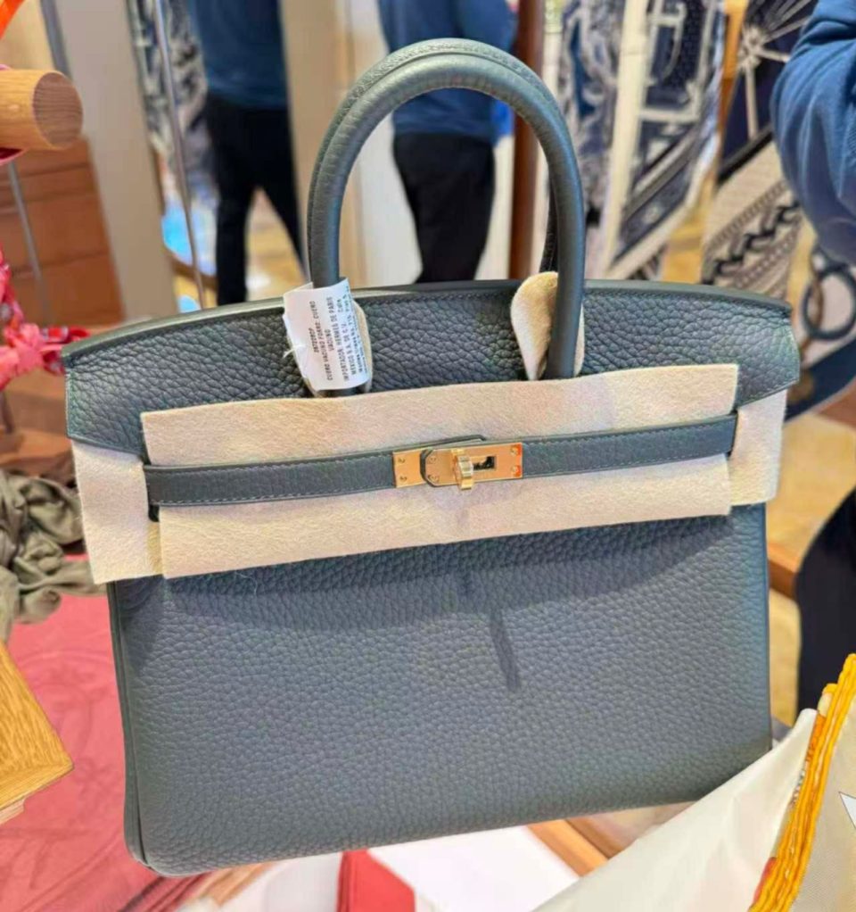 Birkin 25 Vert Mangrove Togo Permabrass