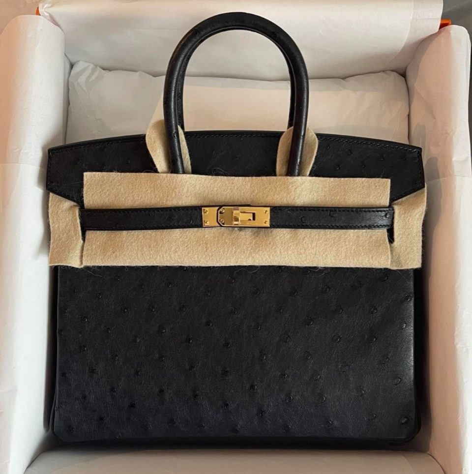 Birkin 25 Black Ostrich Gold