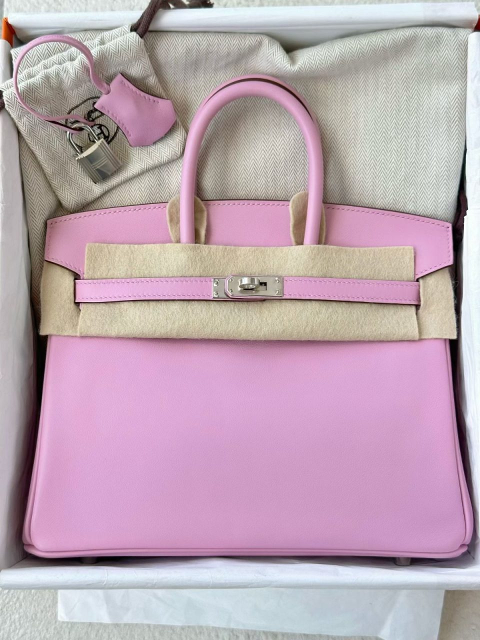 Birkin 25 Mauve Sylvestre Palladium