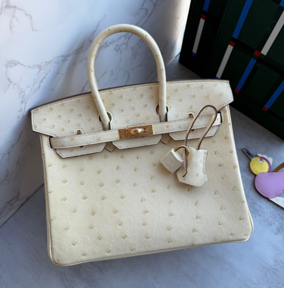 Birkin 25 Vanilla Ostrich Gold