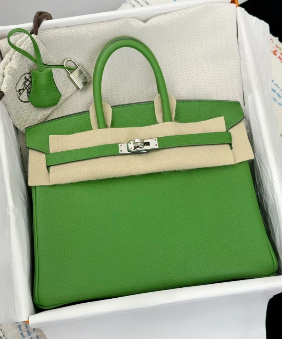 Birkin 25 Vert Yucca Palladium
