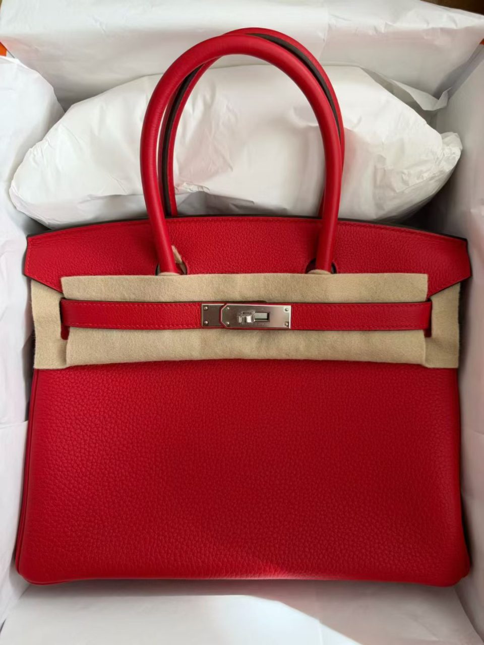 Birkin 30 Rouge Radieux Togo Palladium