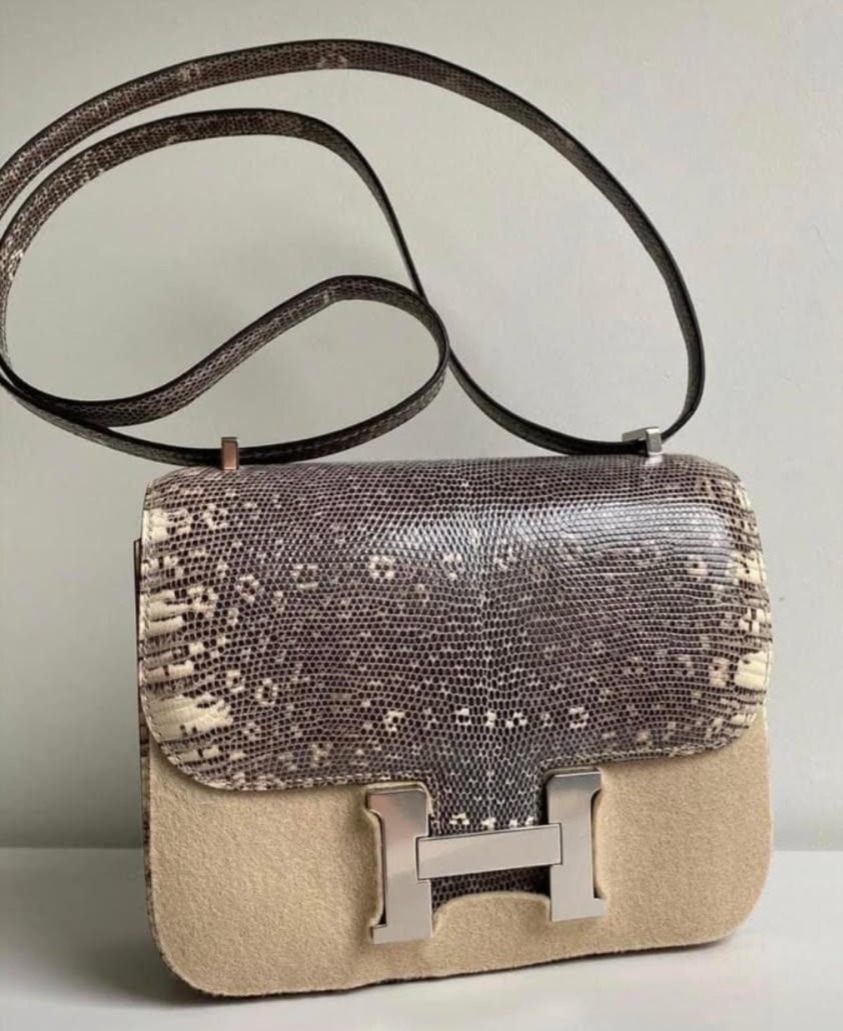 Constance 18 Ombre Salvator Lizard Palladium