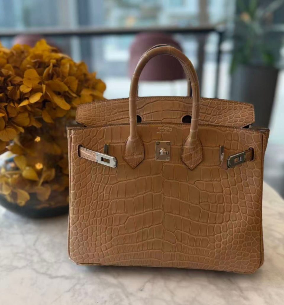 Birkin 25 Chai Alligator Palladium