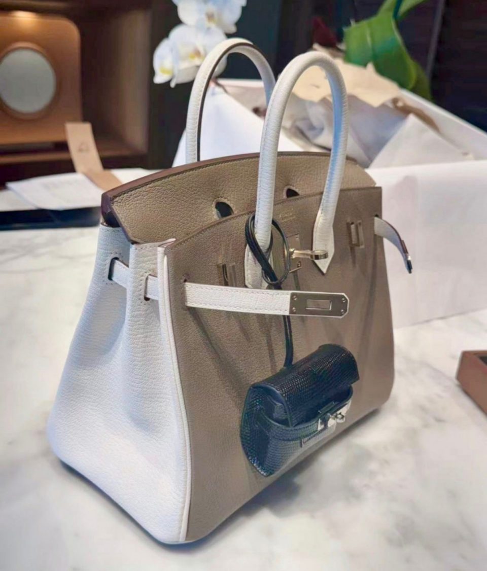 Birkin 25 Etoupe Nata Permabrass