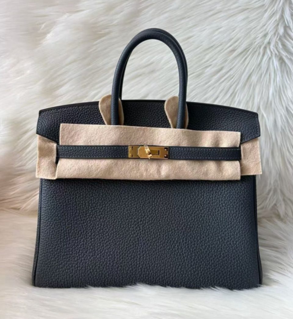 Birkin 25 Gris Misty Togo Gold
