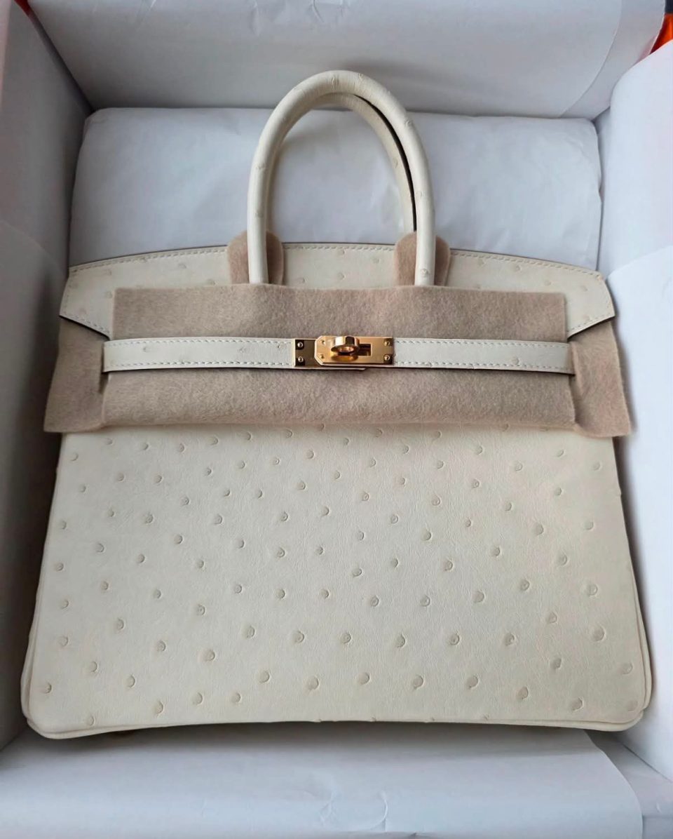 Birkin 25 Nata Boreal Ostrich Gold