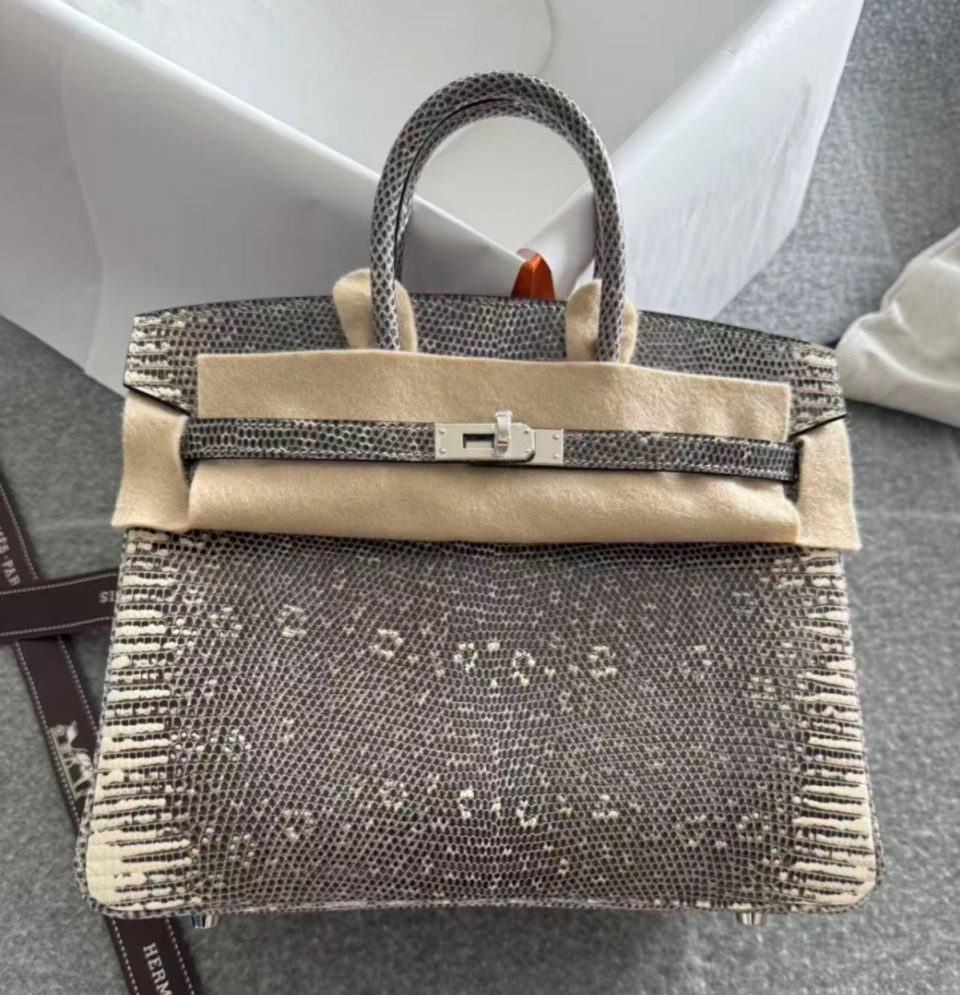 Birkin 25 Ombre Salvator Lizard Palladium