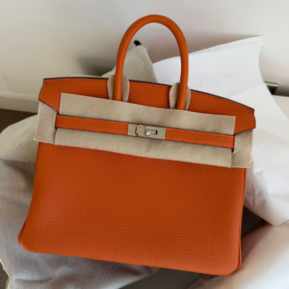 Birkin 25 Orange Togo Palladium