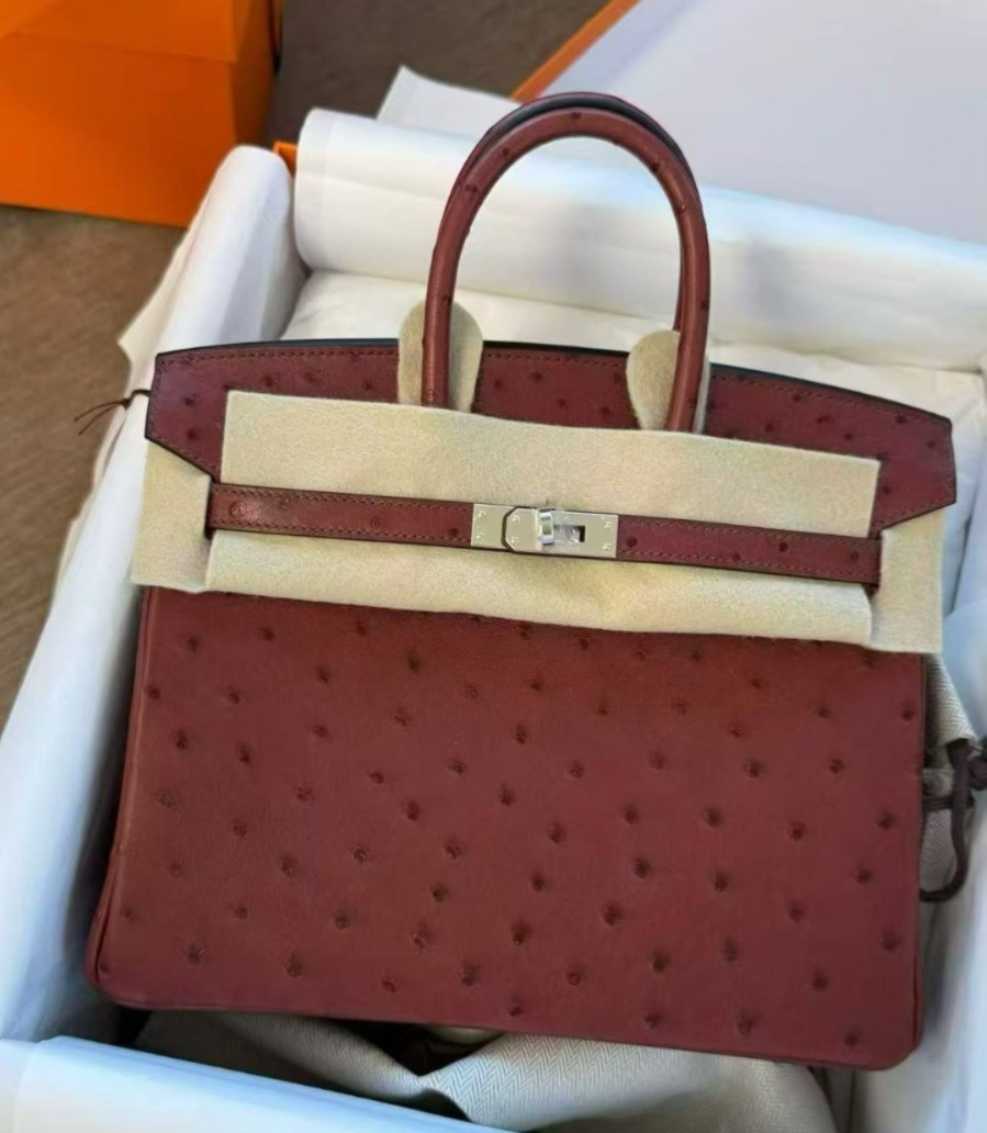 Birkin 25 Rouge H Ostrich Palladium