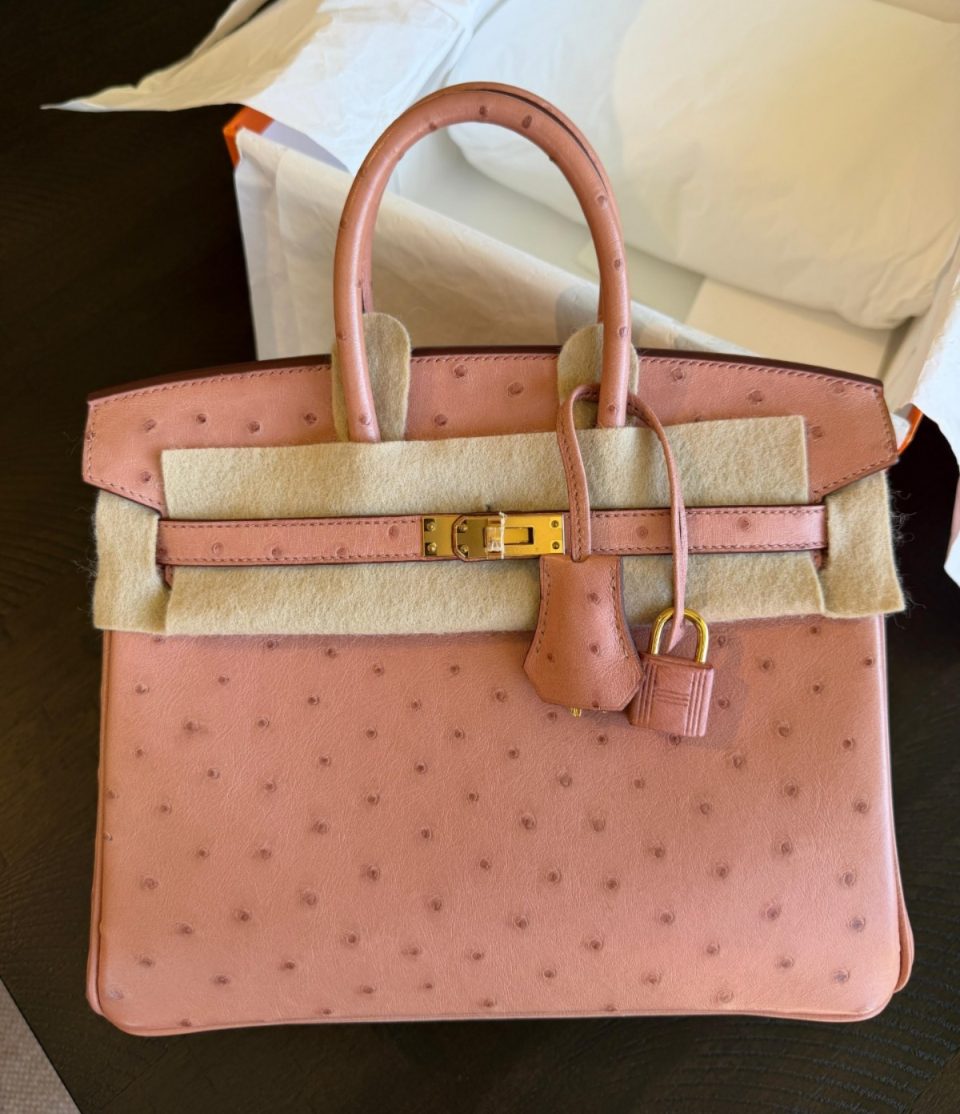 Birkin 25 Terre Cuite Ostrich Gold