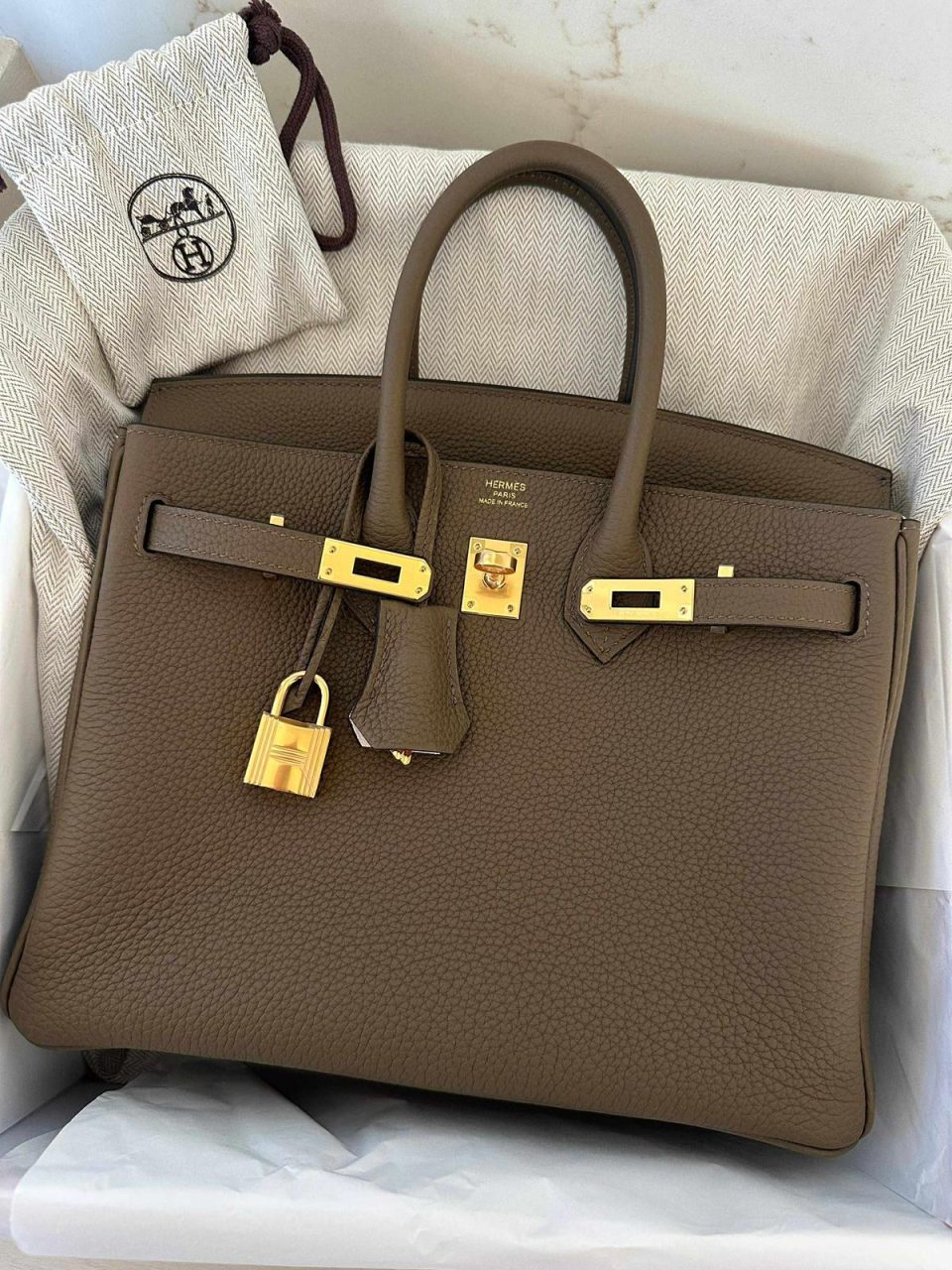 Birkin 25 Toundra Blanc Togo Gold