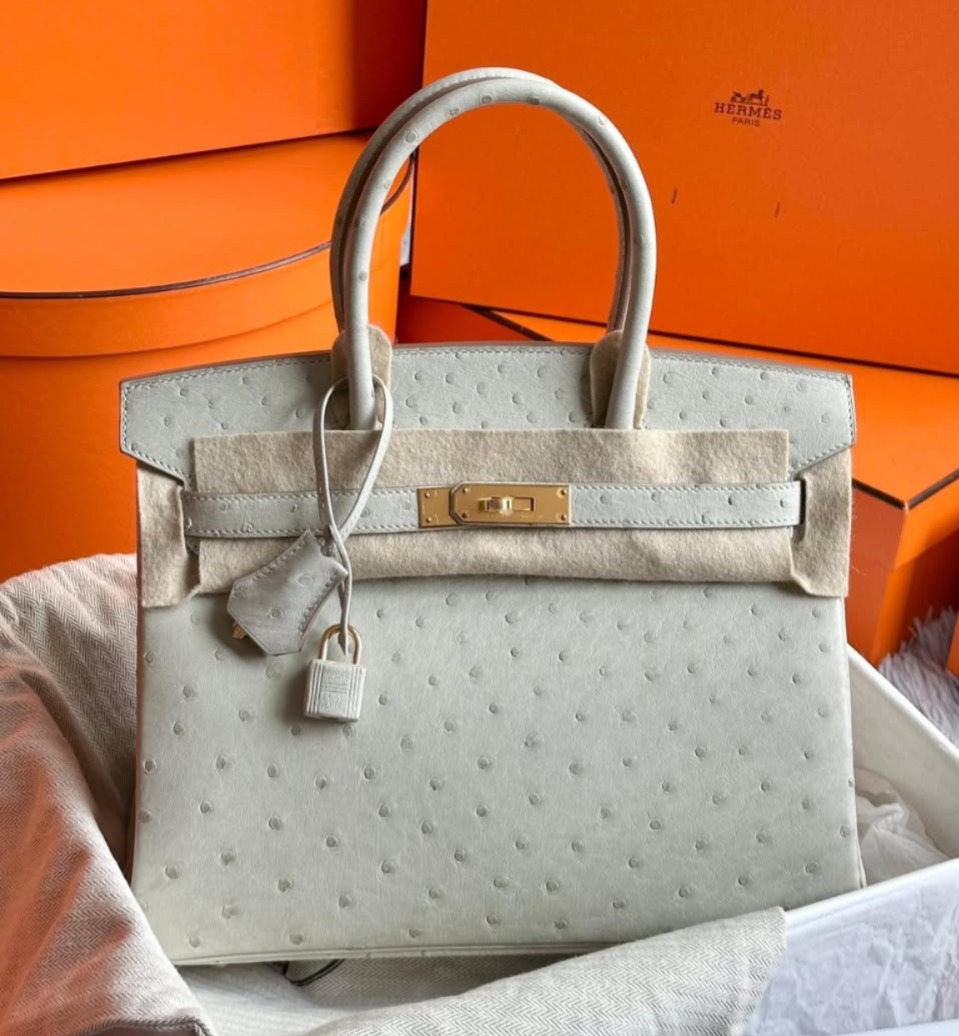 Birkin 30 Gris Perle Ostrich Gold