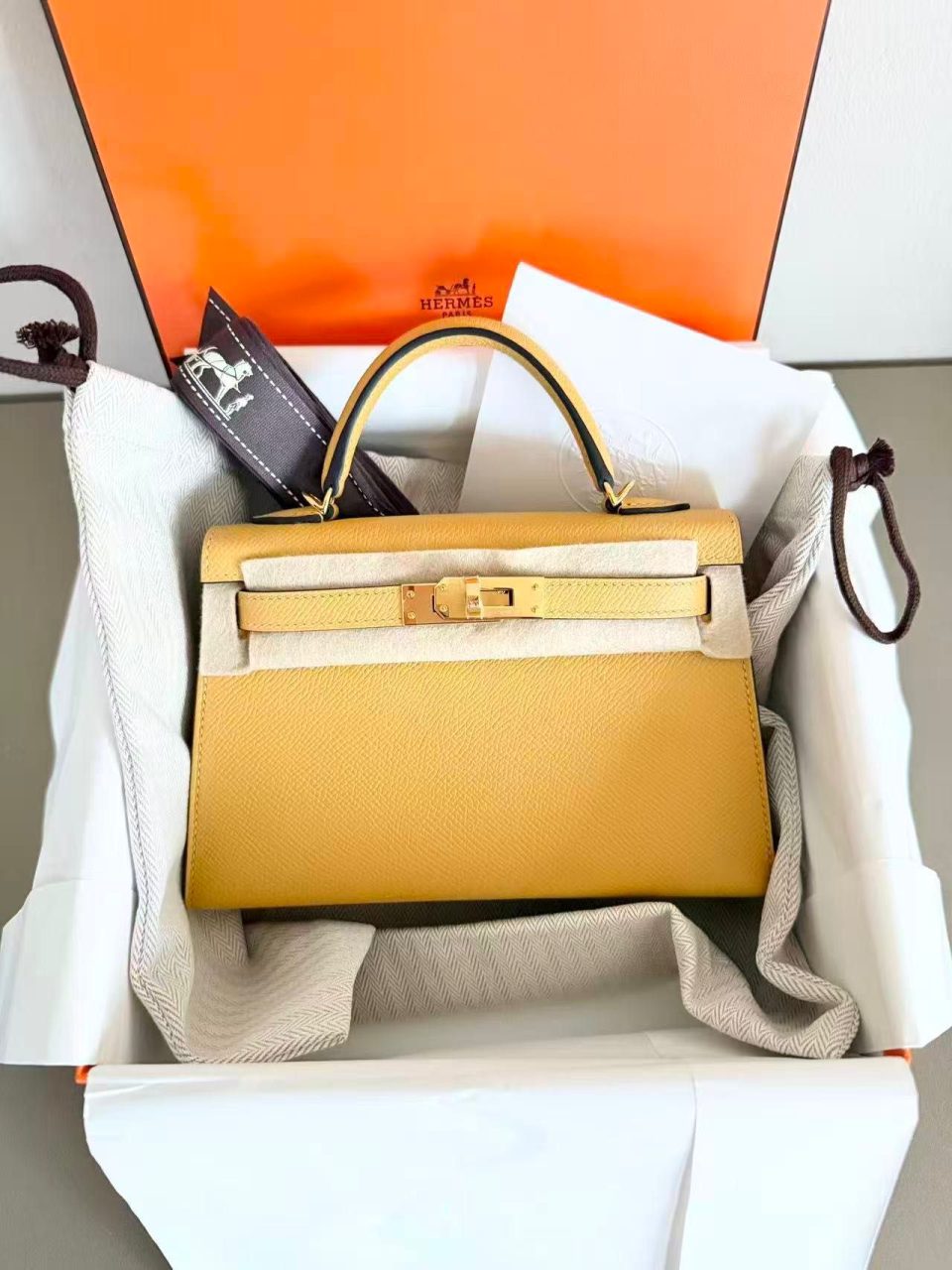 Kelly 20 Mini Paille Epsom Gold