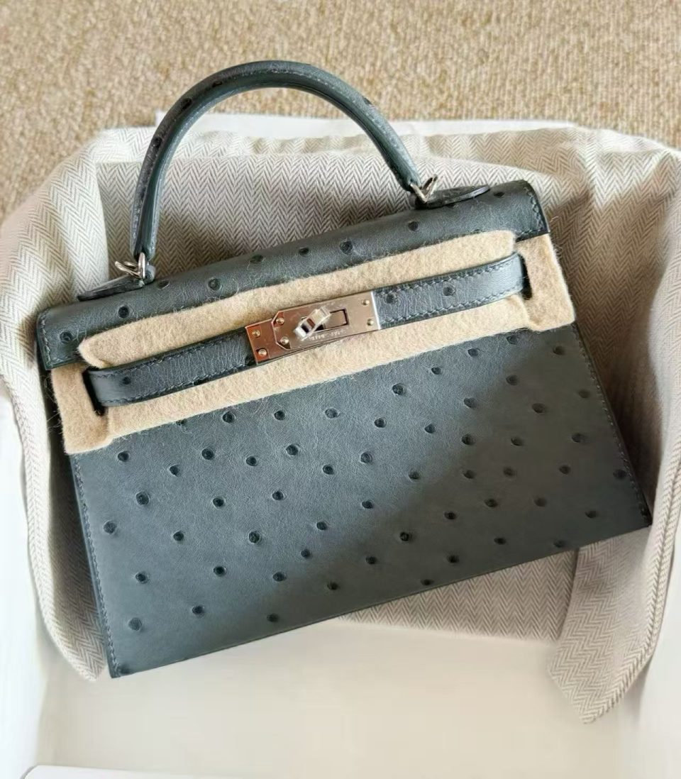 Kelly 20 Mini Vert Amande Ostrich Palladium