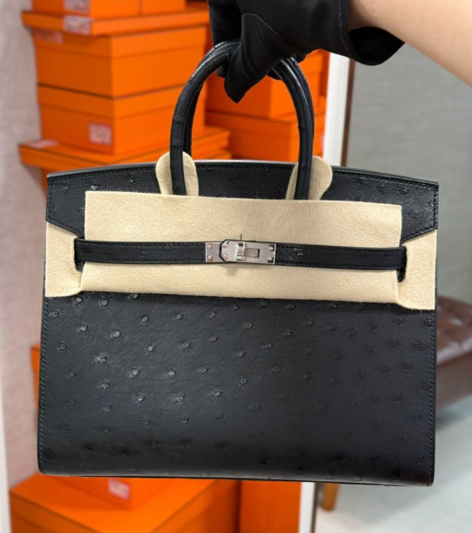 Birkin 25 Black Ostrich Palladium