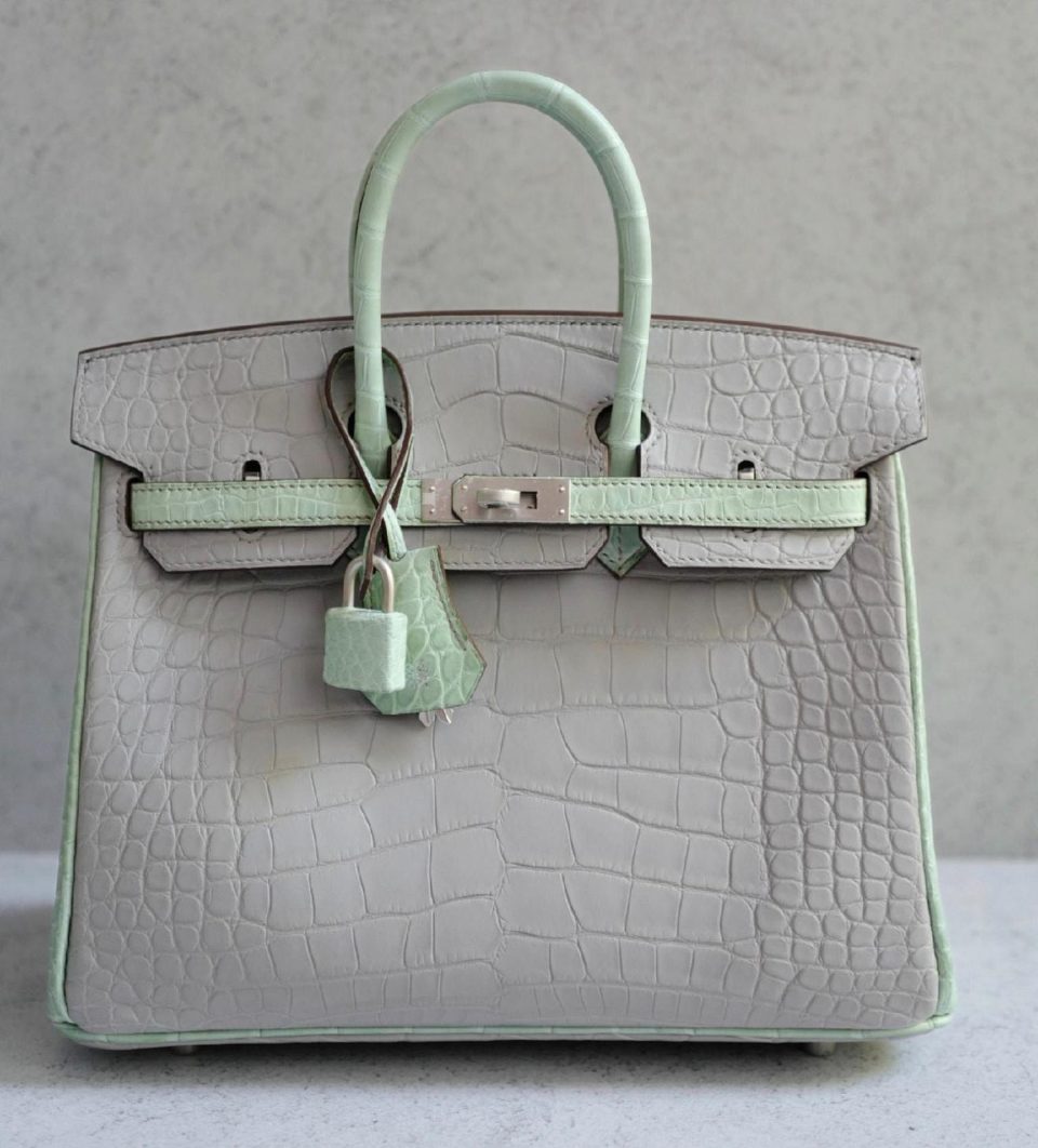 Birkin 25 HSS Gris Perle Vert DEau Palladium