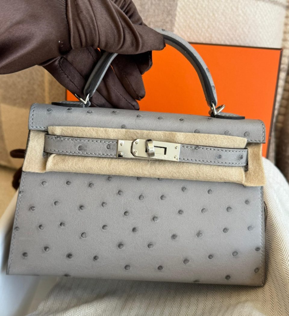Kelly 20 Mini Gris Mouette Ostrich Palladium