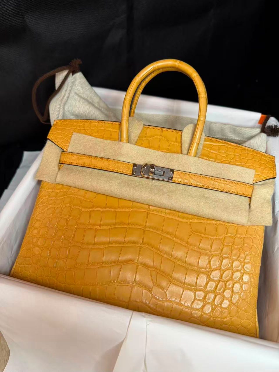 Birkin 25 Blond Niloticus Crocodile Palladium
