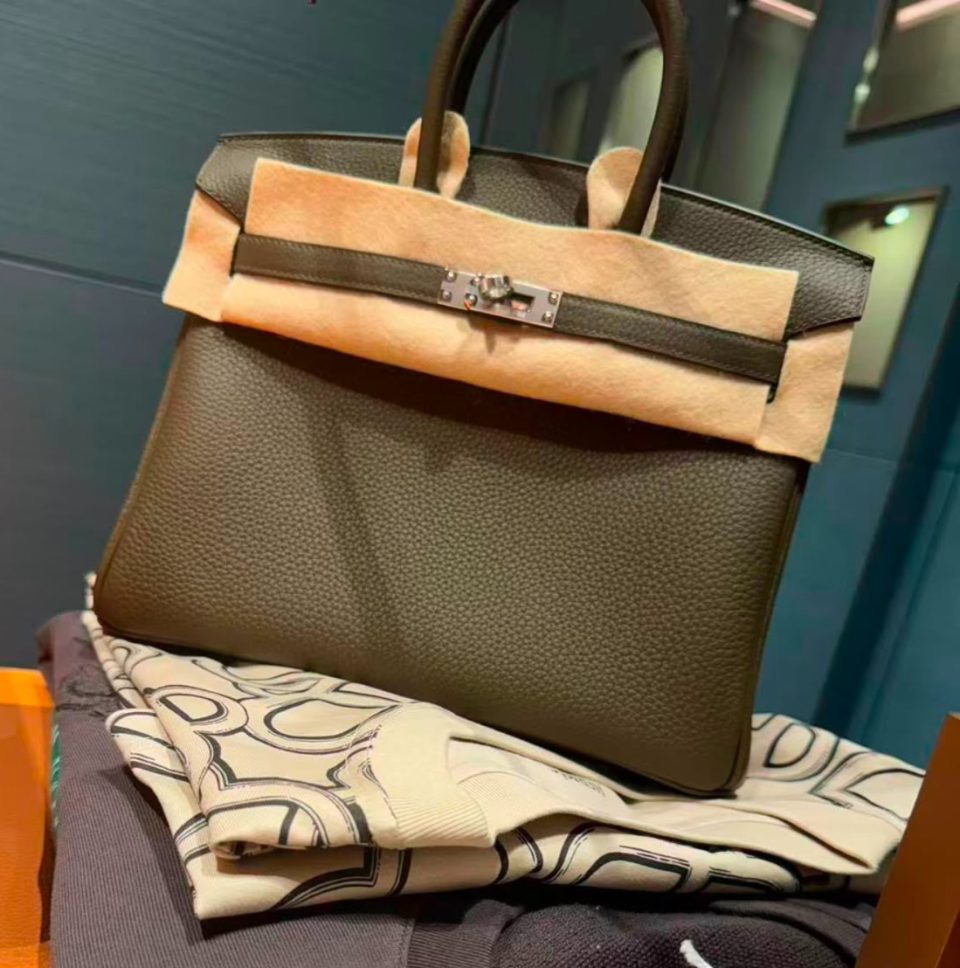 Birkin 25 Vert Loden Togo Palladium