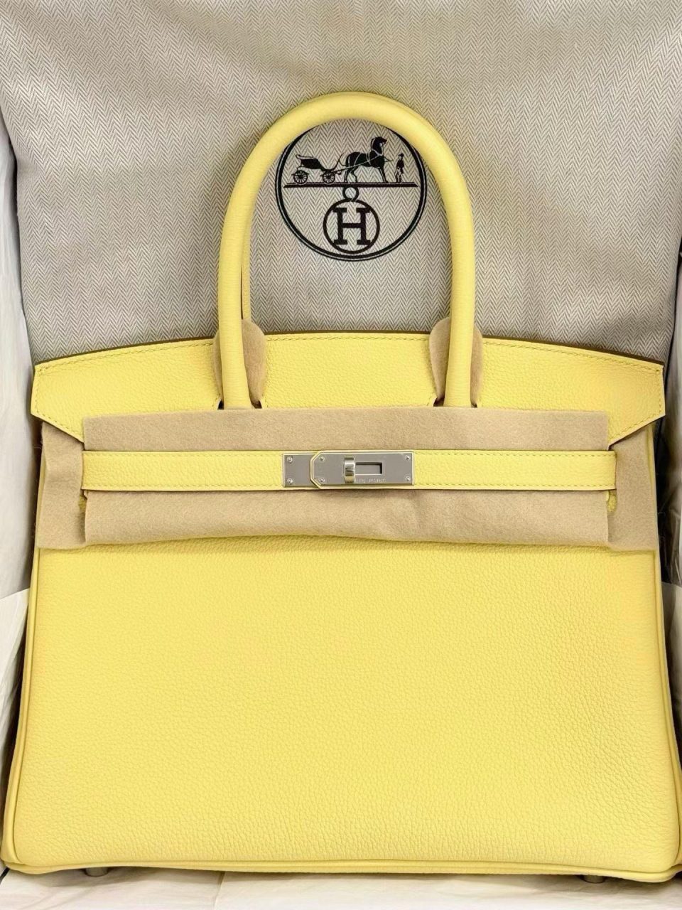 Birkin 30 Jaune Poussin Togo Palladium