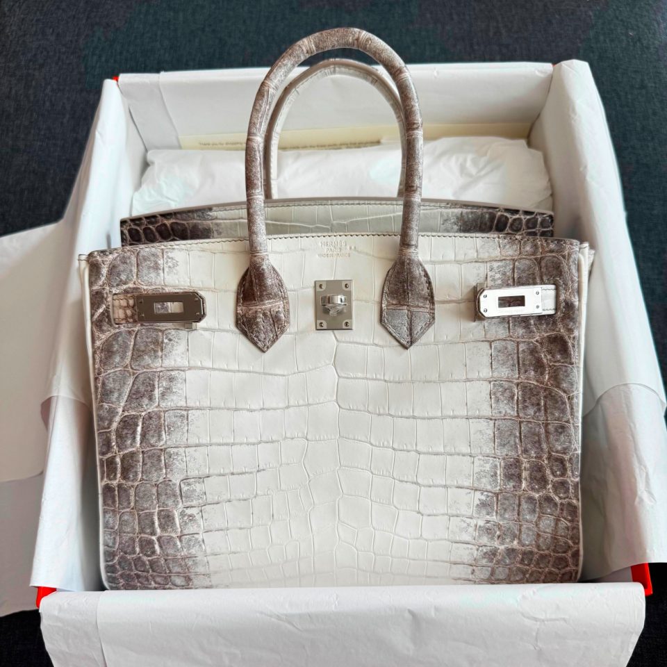 Birkin 25 Himalaya Niloticus Crocodile Palladium