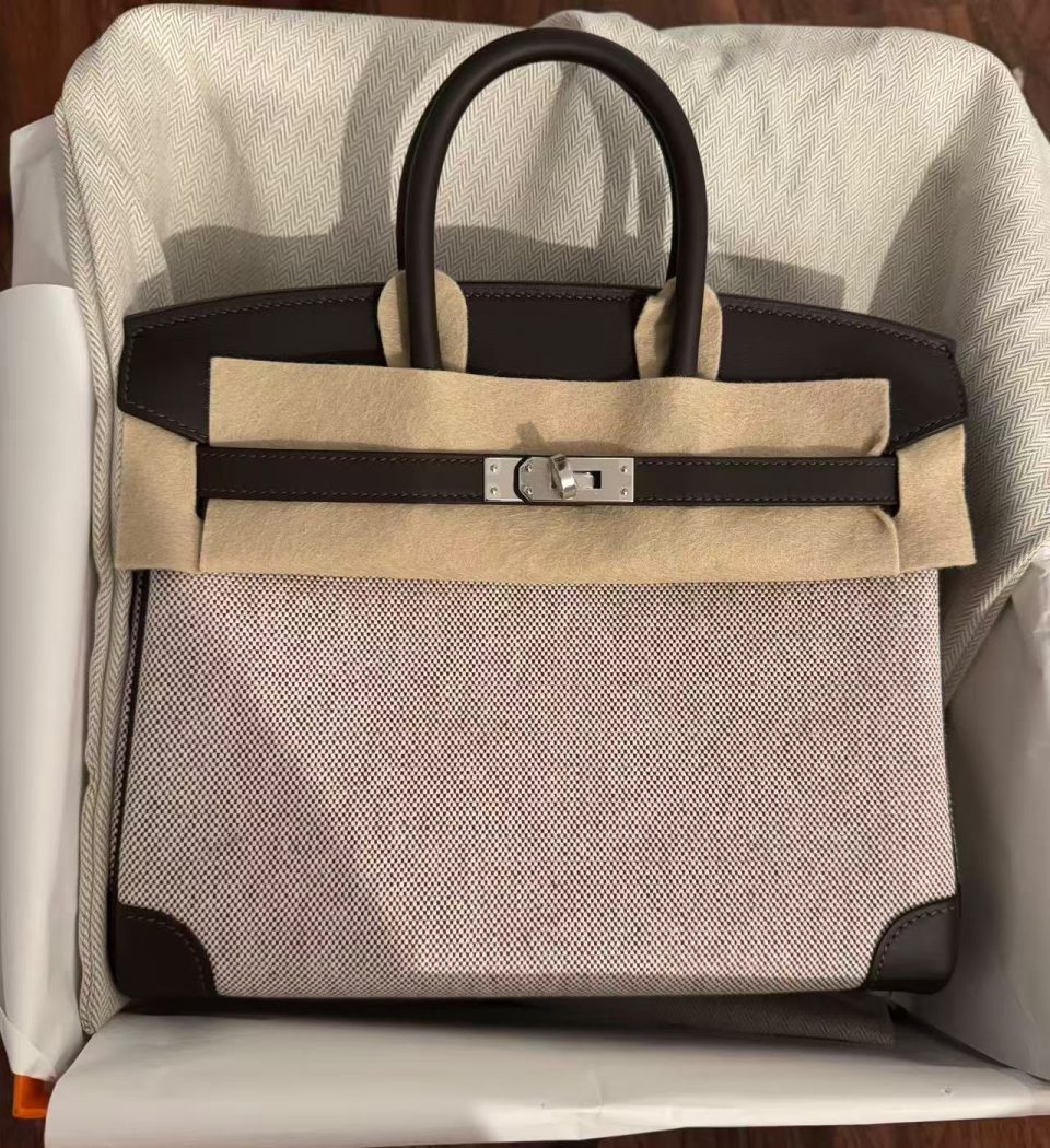 Birkin 25 Toile Bai-Brun Palladium