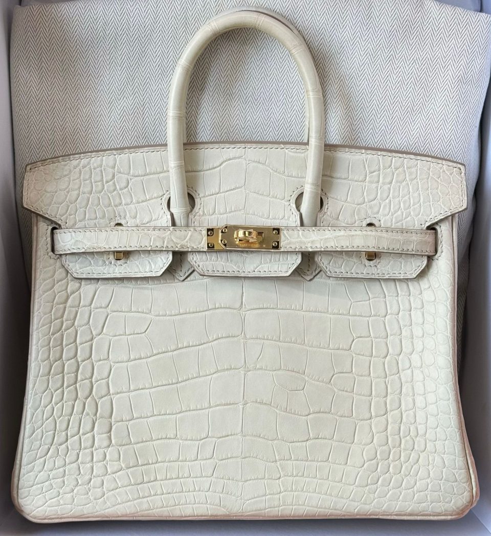 Birkin 25 Beton Alligator Gold